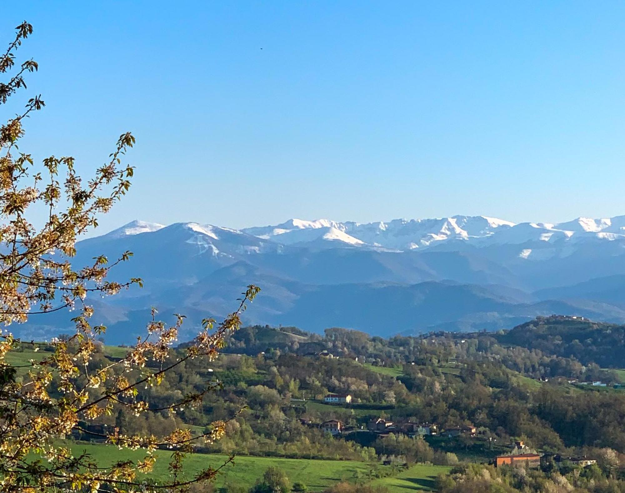 Just Langhe Casa Barolo Villa Novello Eksteriør bilde