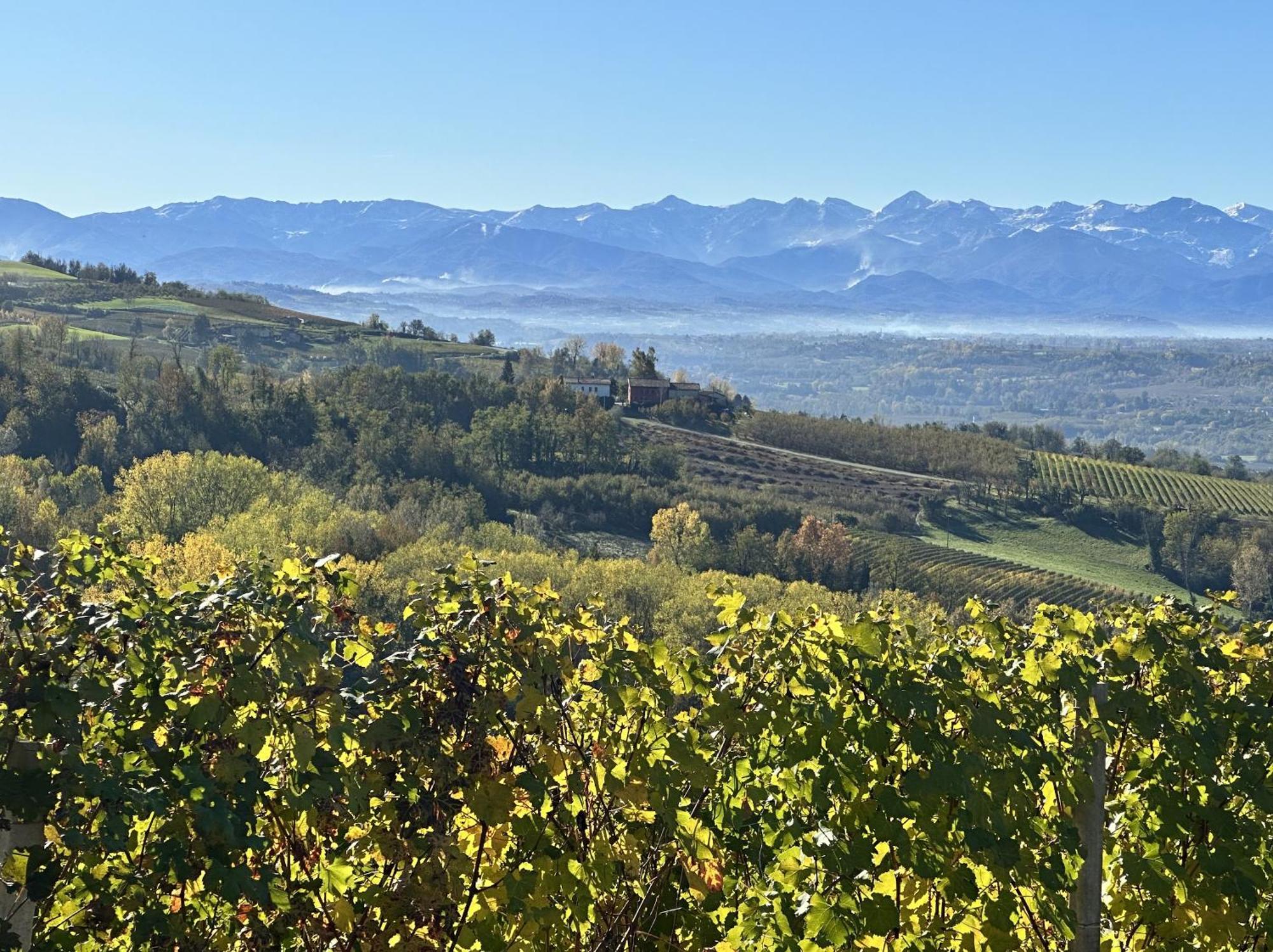Just Langhe Casa Barolo Villa Novello Eksteriør bilde