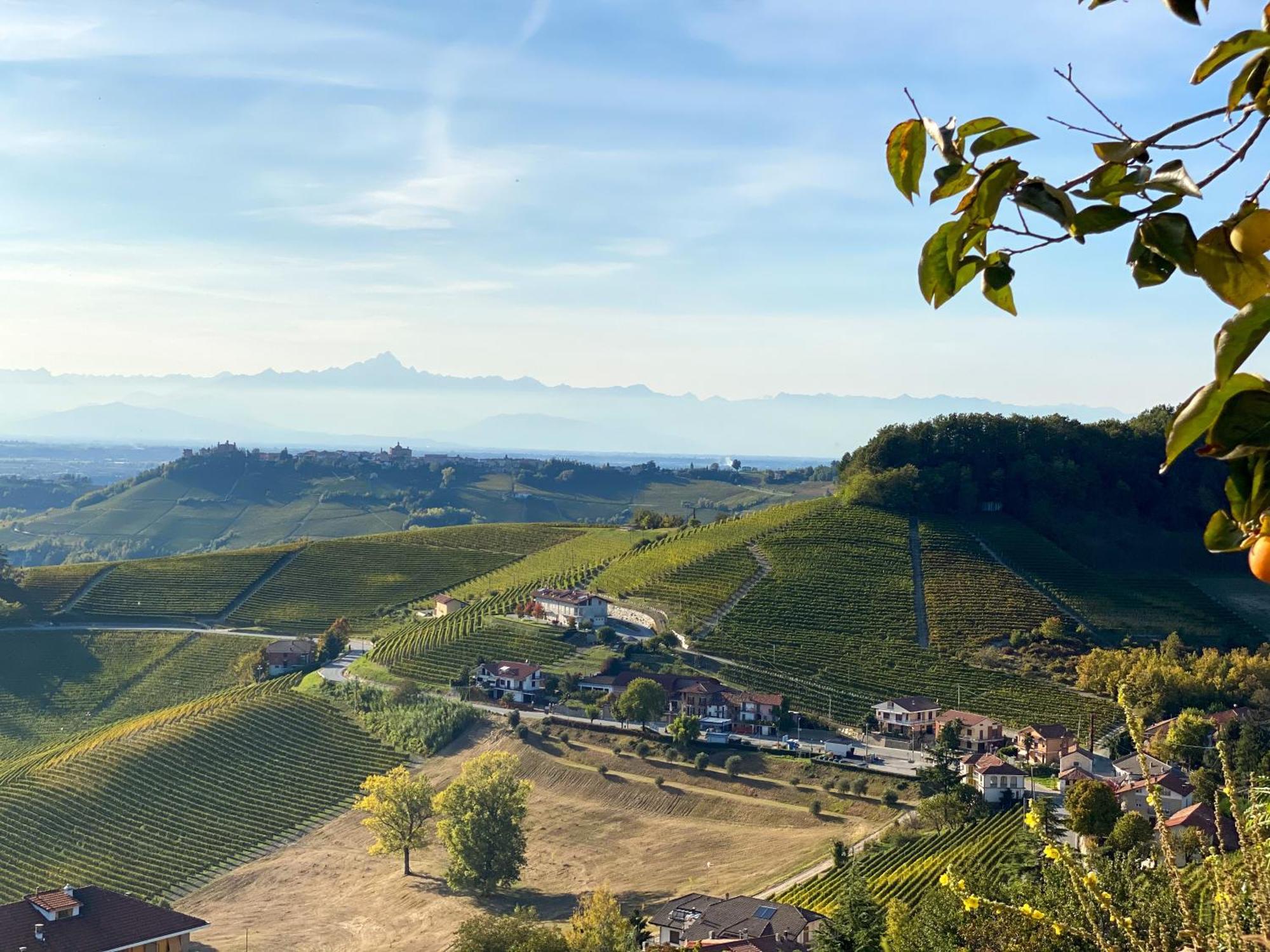 Just Langhe Casa Barolo Villa Novello Eksteriør bilde