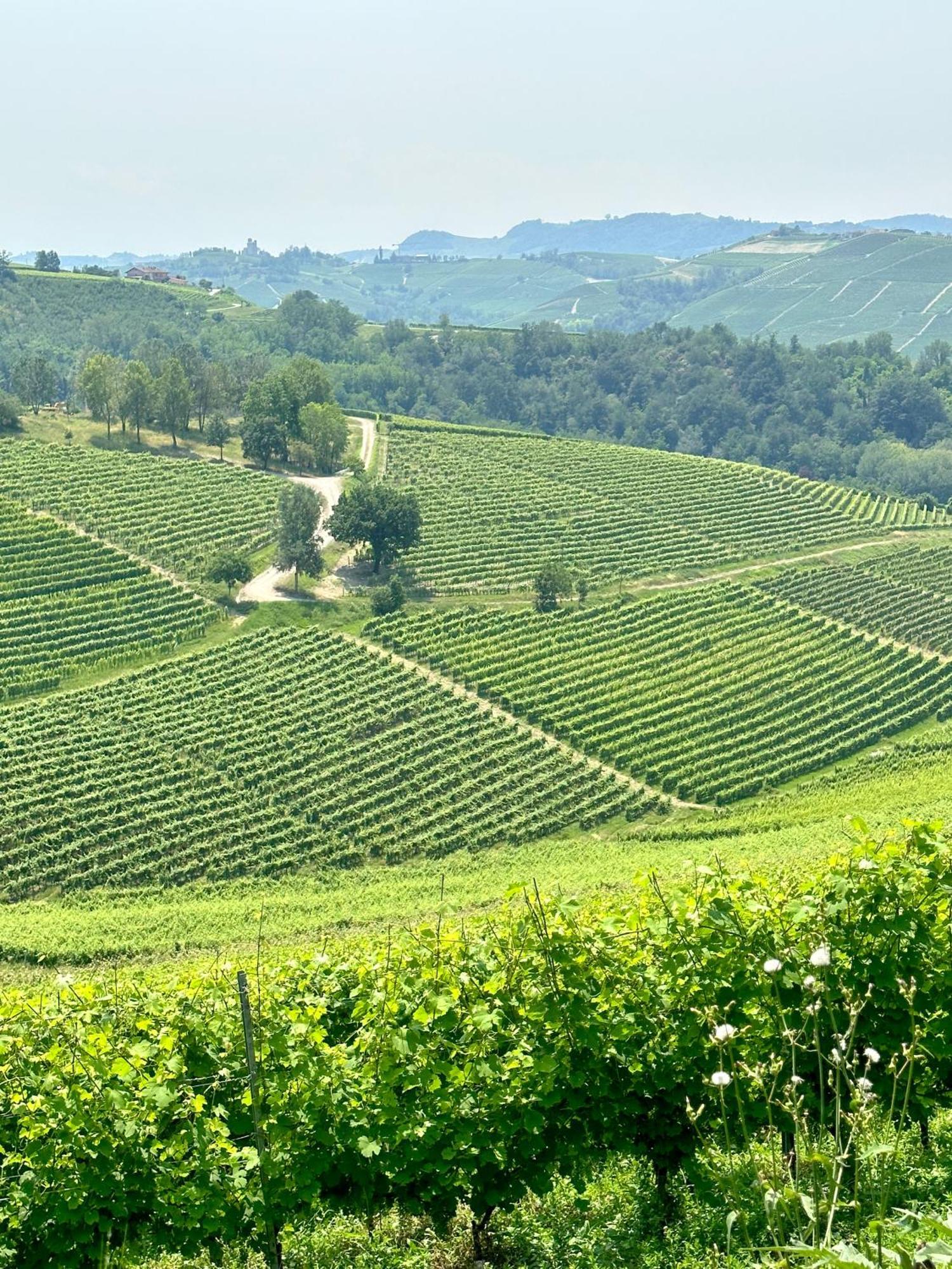 Just Langhe Casa Barolo Villa Novello Eksteriør bilde