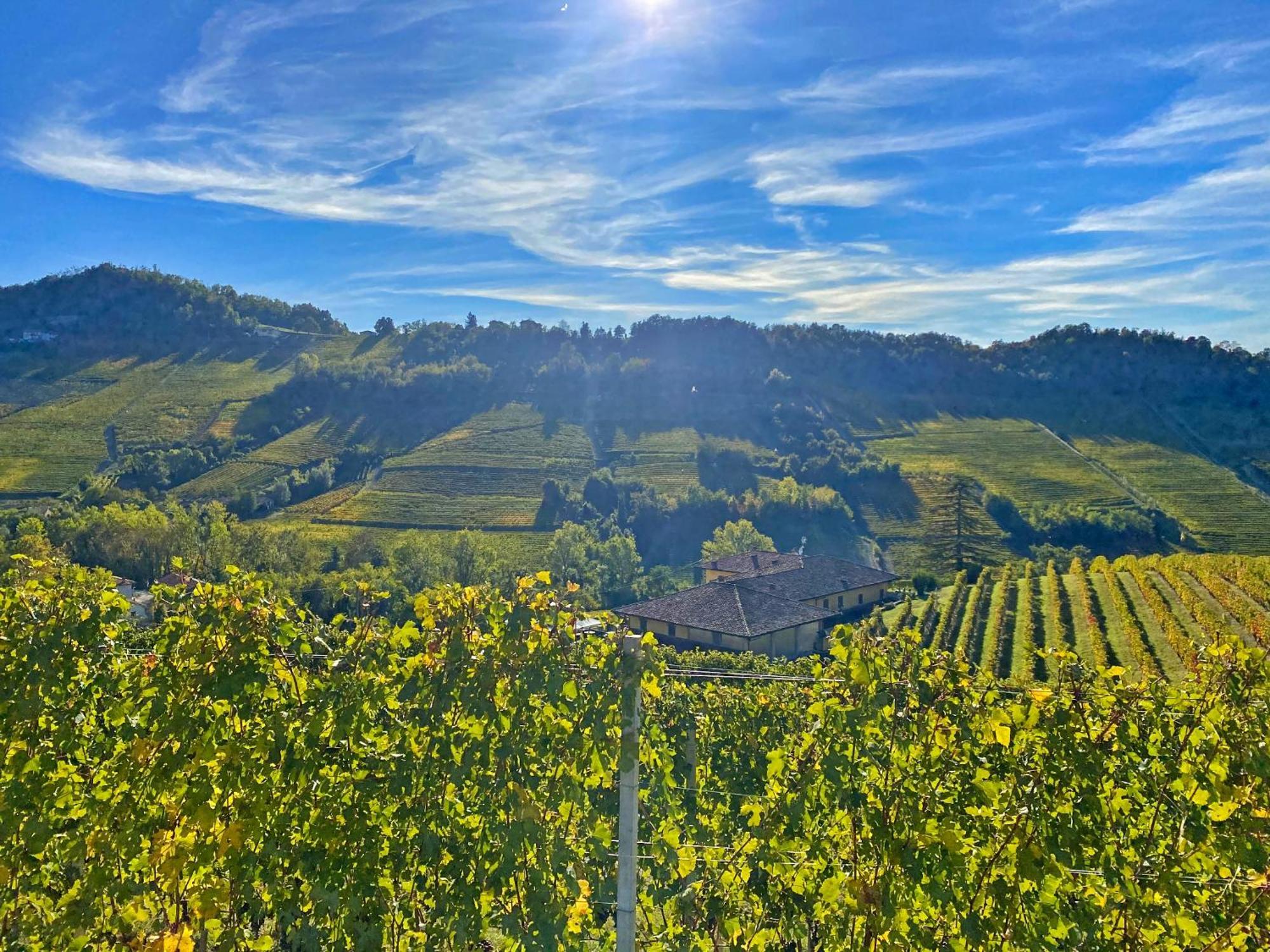 Just Langhe Casa Barolo Villa Novello Eksteriør bilde